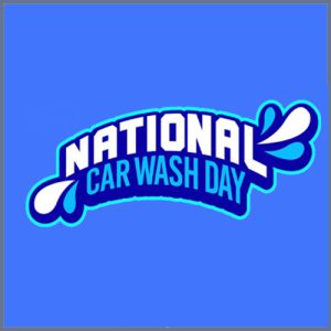 National Car Wash Day Dummy Products